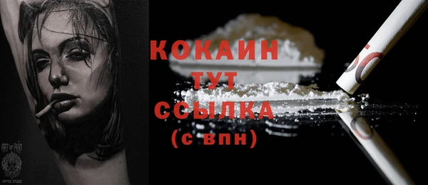 крисы Пестово